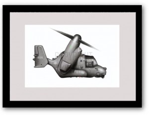 Osprey framed
